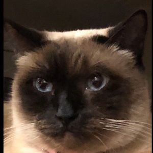 Meet your Posher, Kathryn